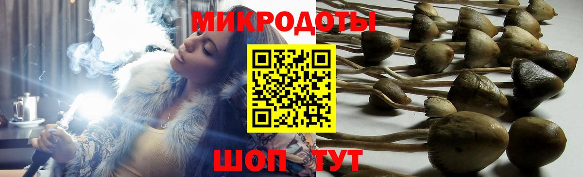 Набережные Челны  Псилоцибиновые грибы прущие грибы  Вход с VPN 